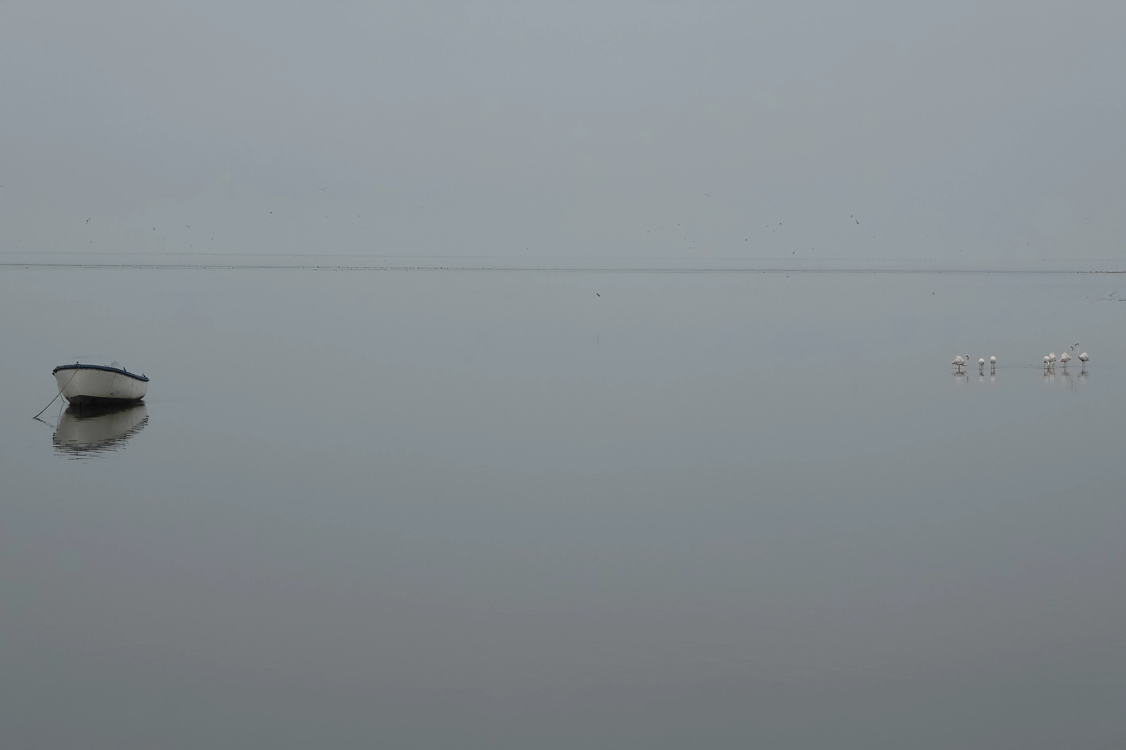 A small white boat and a separated group of wading birds occupy opposite sides of pale water.