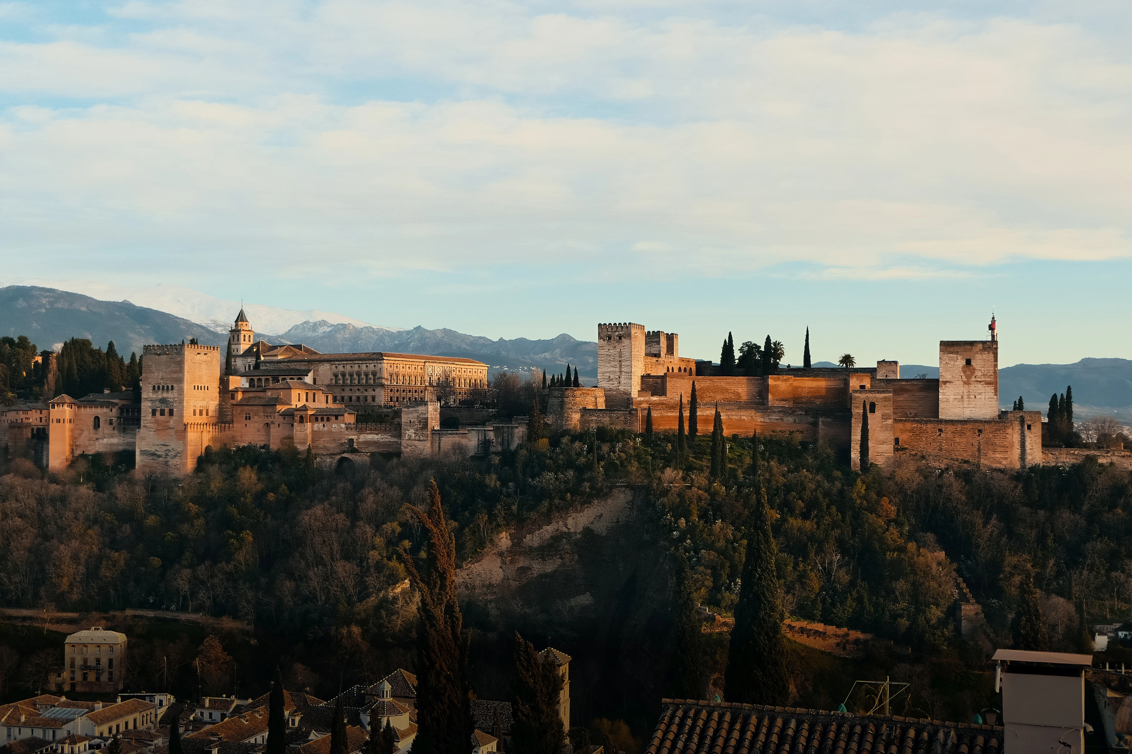 Sunlit fortress walls and towers extend above dark trees, with lower roofs and a distant mountain behind.