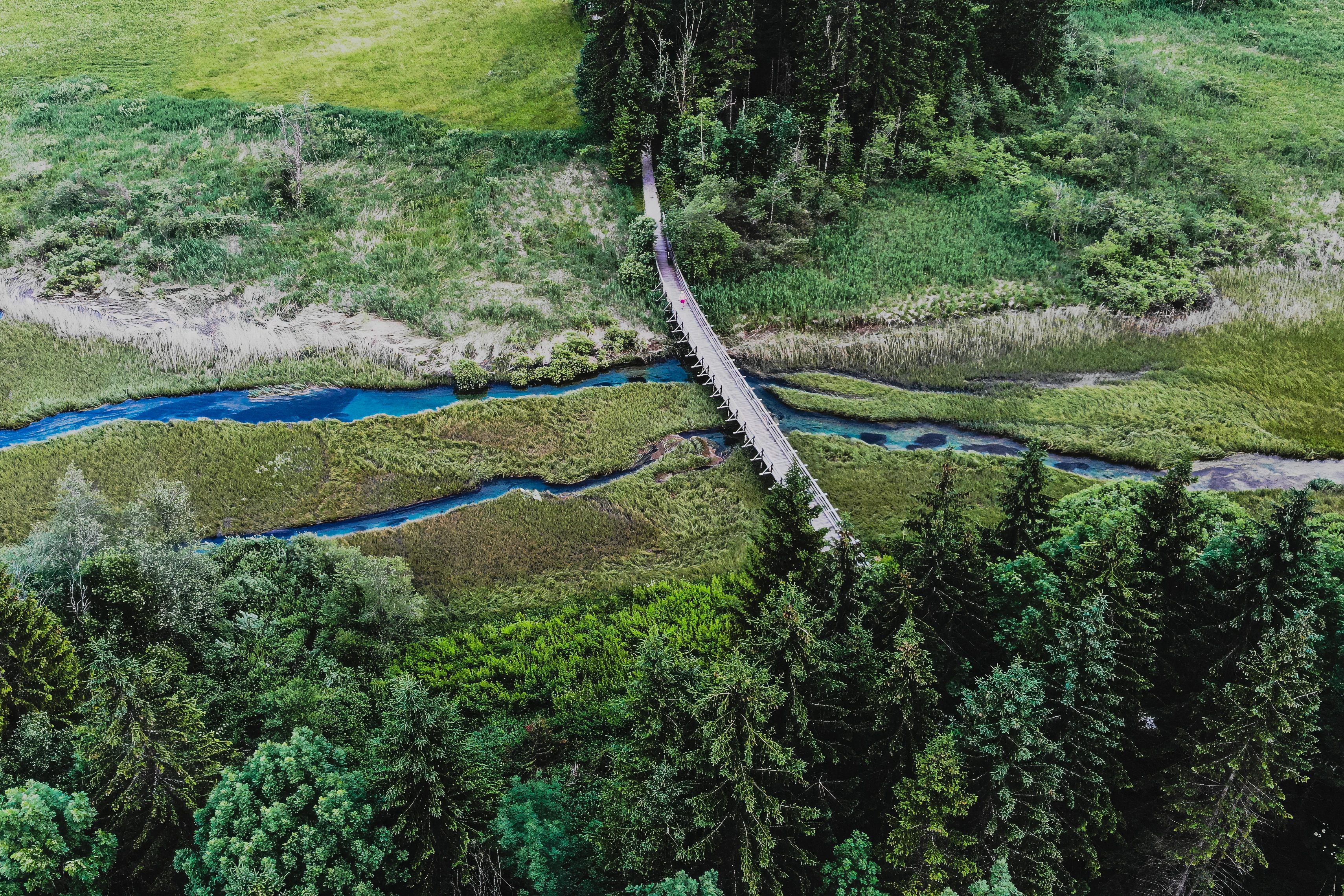 A boardwalk cuts diagonally across blue wetland channels bordered by reeds and trees.