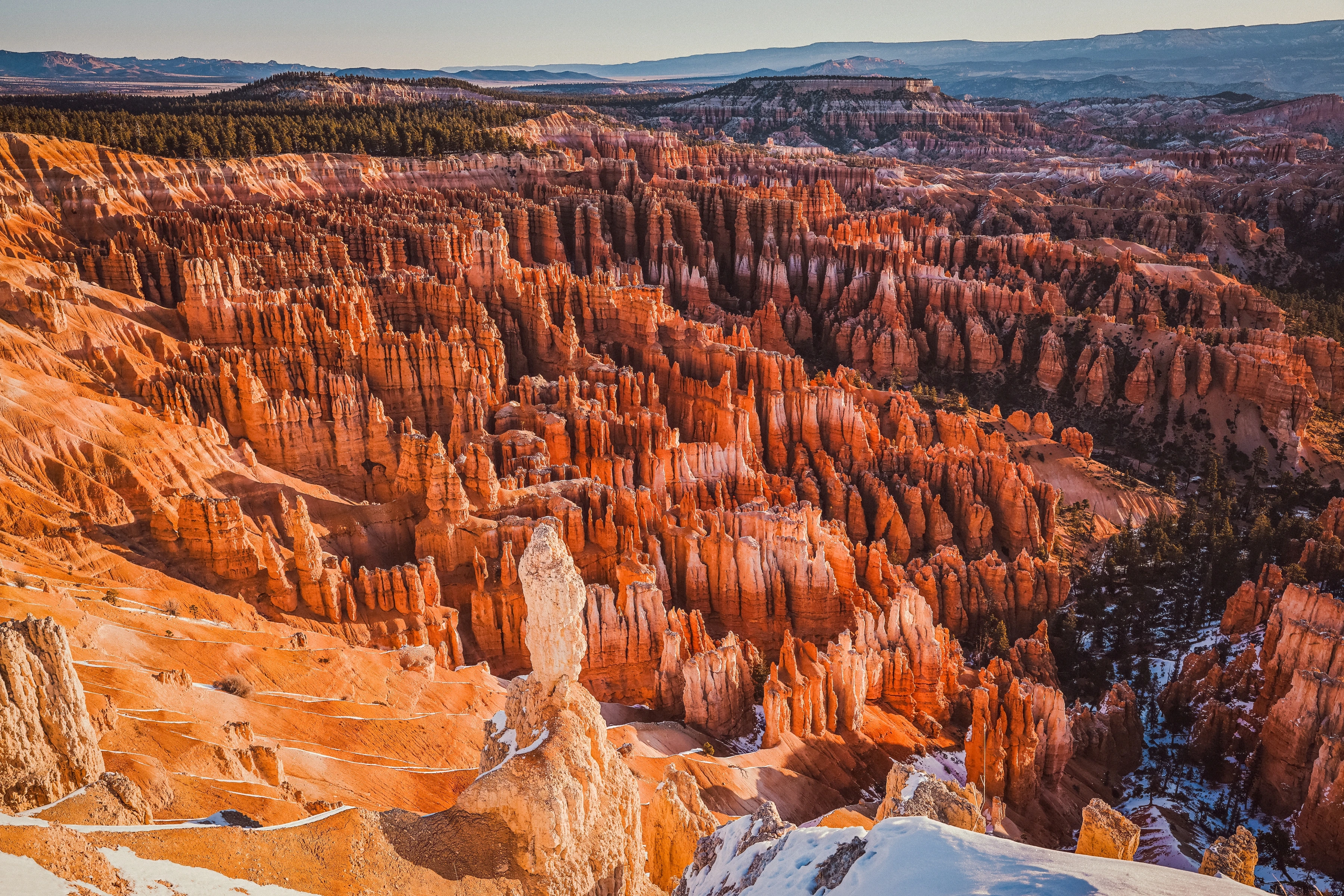 Dense orange rock columns fill a broad basin beneath a forested rim, with small pale patches among the lower forms.