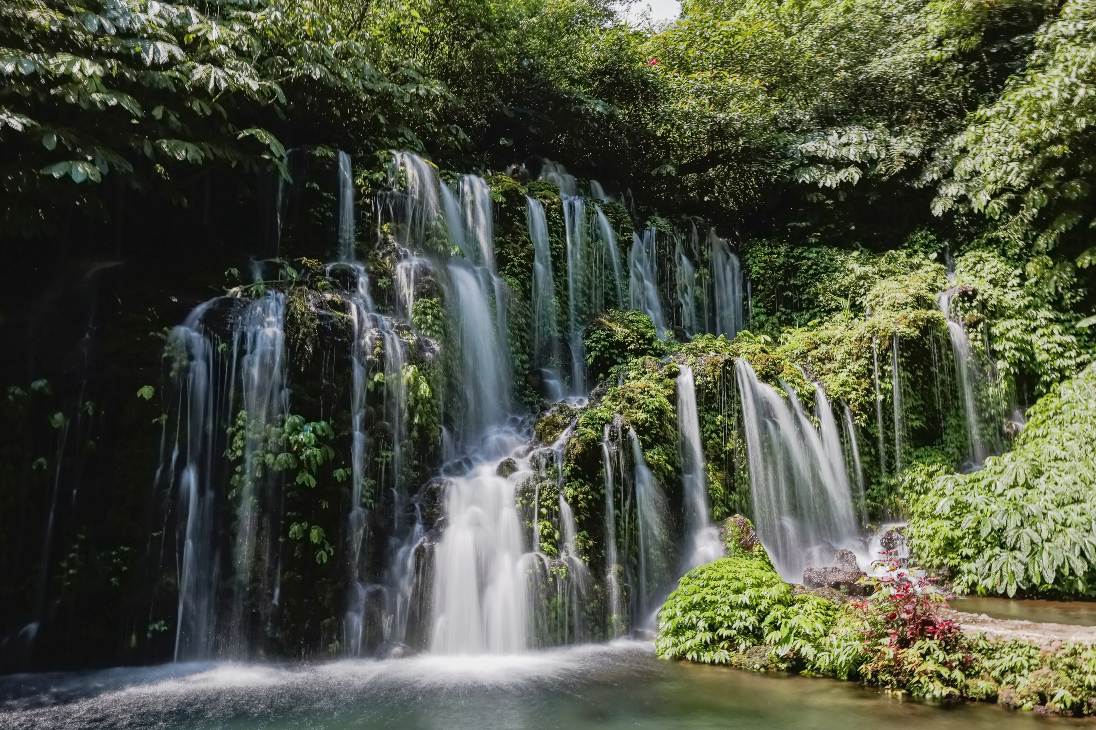 Several narrow waterfalls descend through vegetation into a pool.