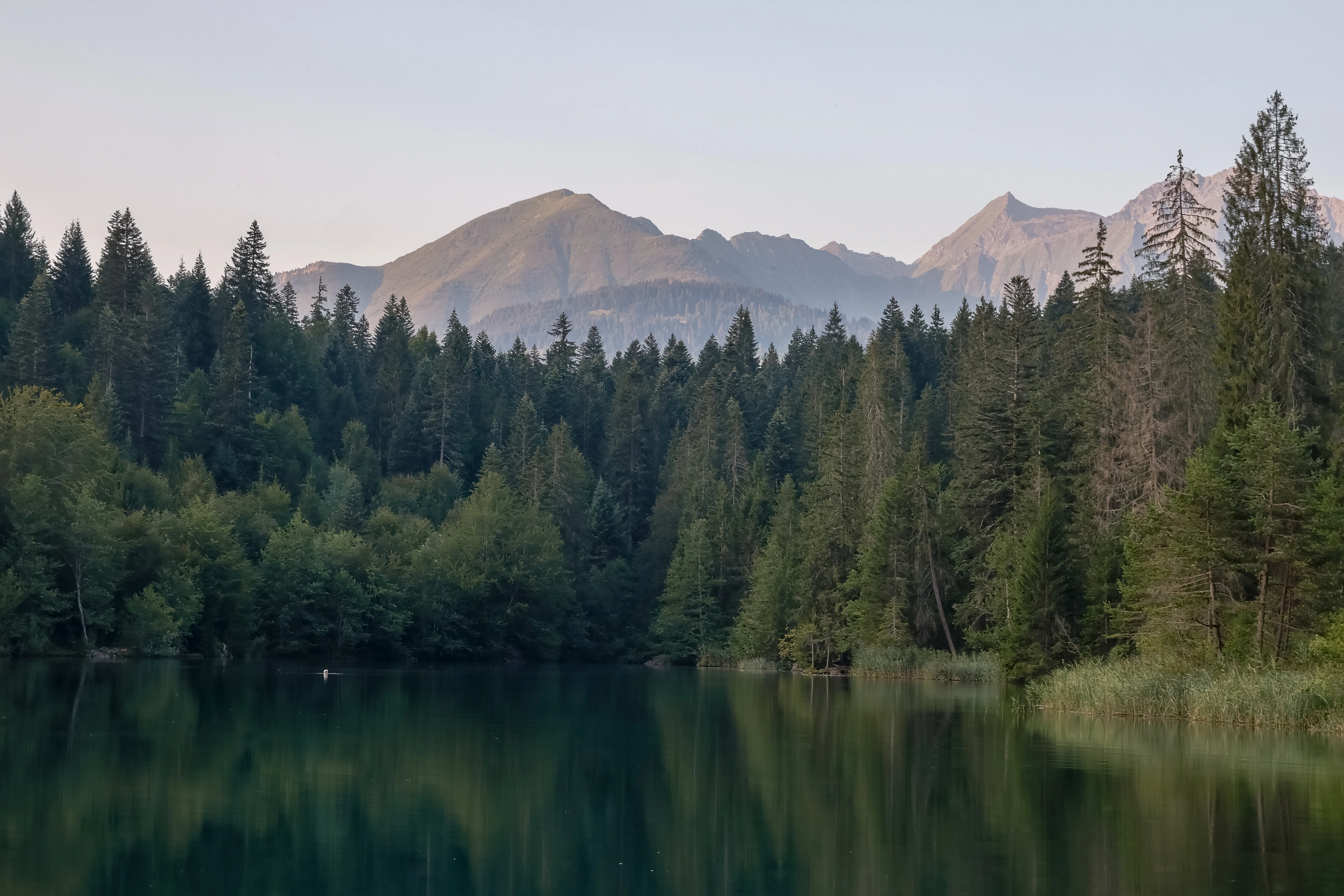 Dark forest and mountain slopes reflect in still water, with a tiny unidentified white floating form.