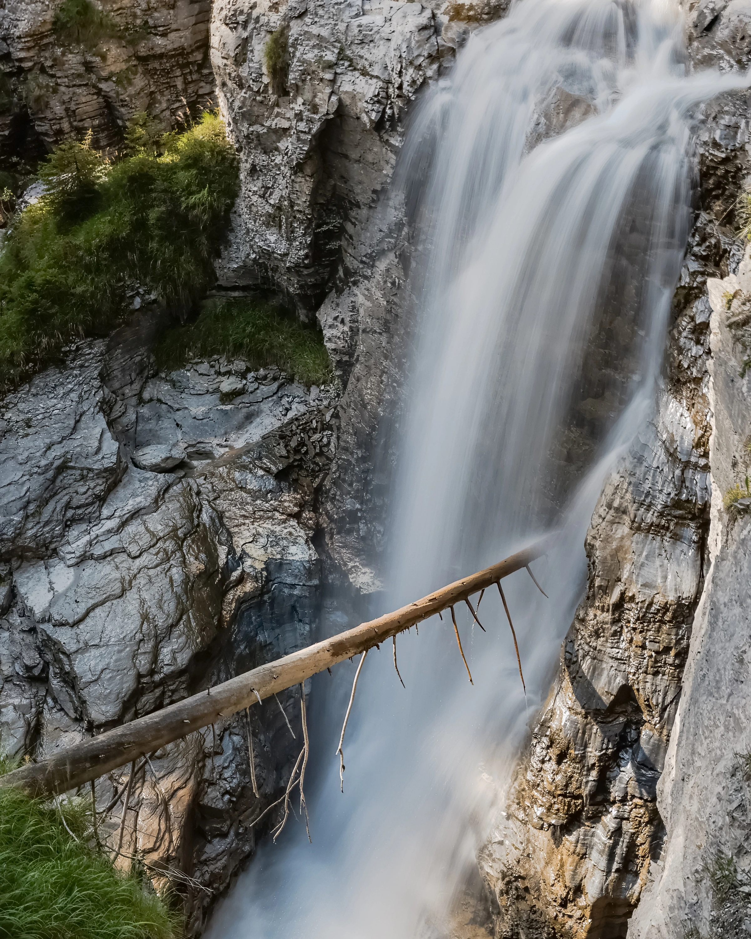 A fallen trunk cuts across white water moving over grey rock.