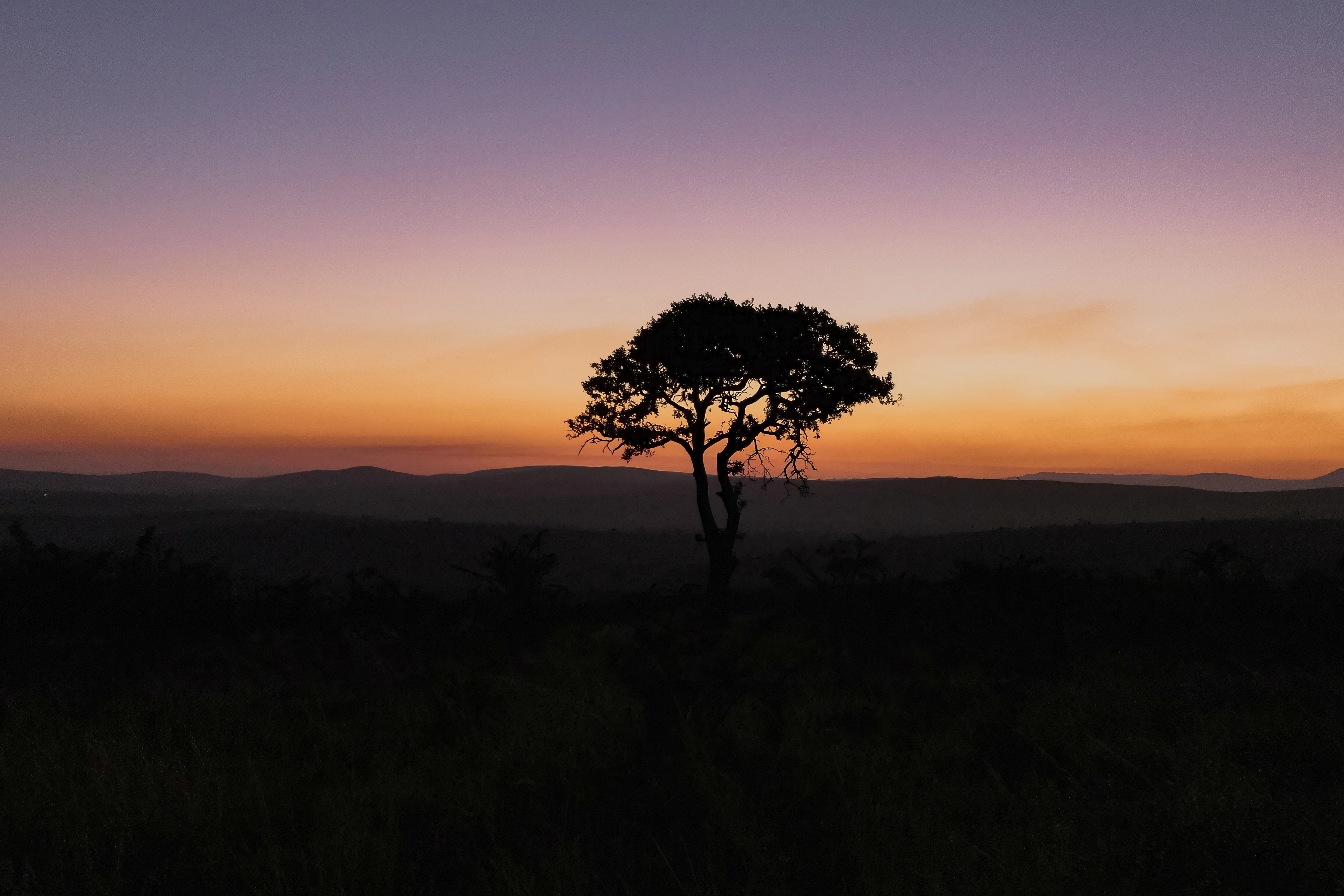 A single dark tree stands against orange and purple twilight above distant ridges.