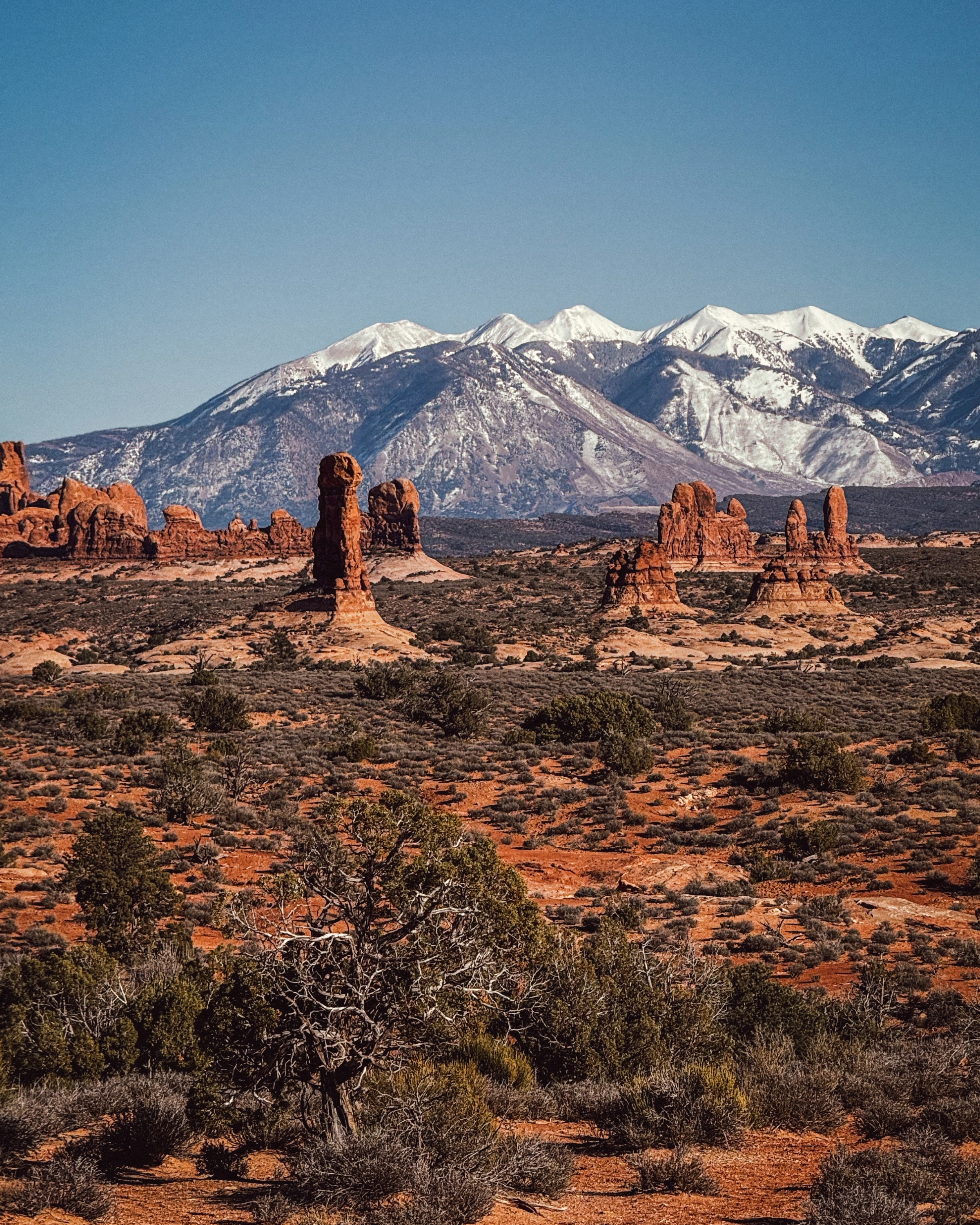 Red rock pillars stand across a scrub-covered plain below blue sky and a distant snowy mountain band.