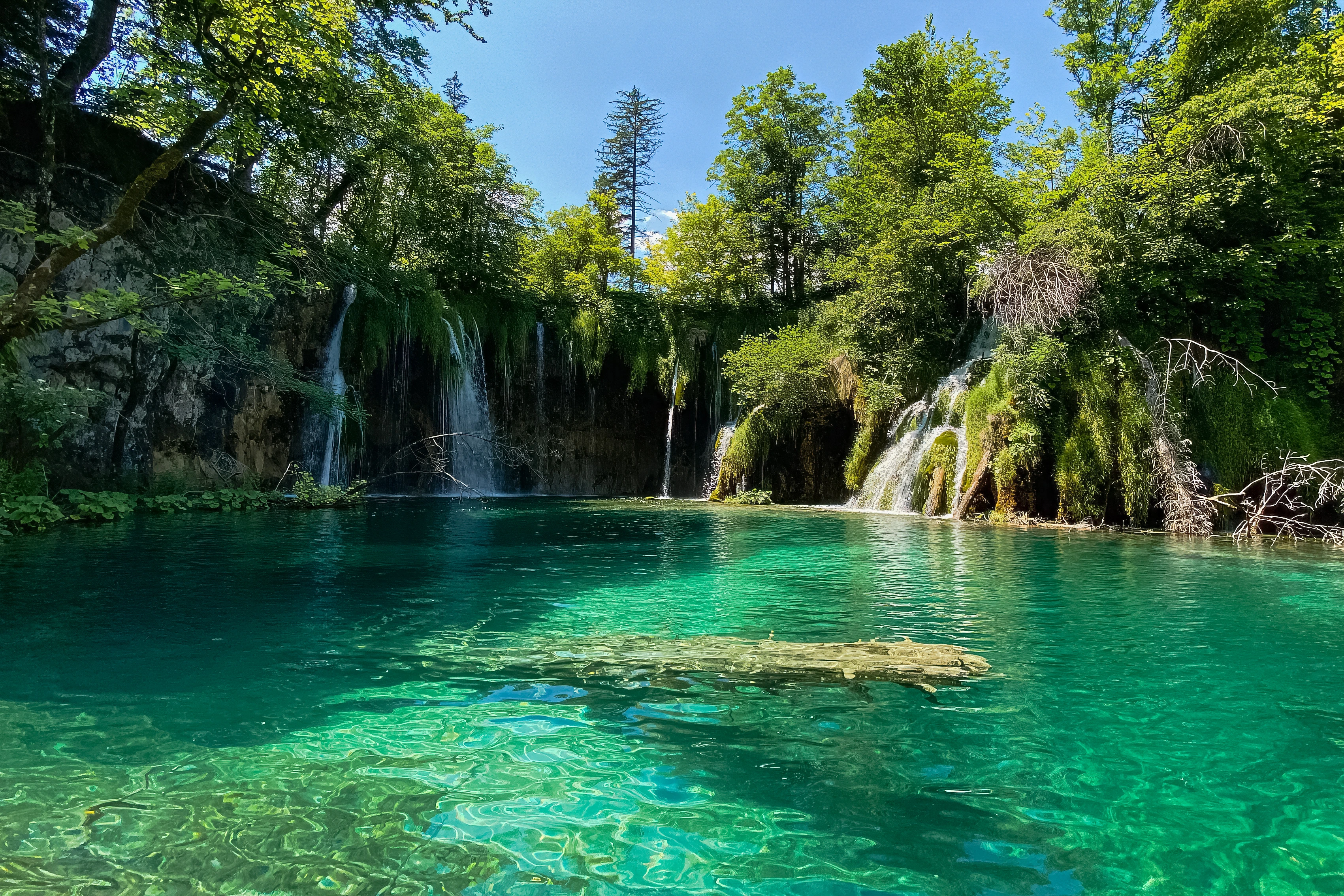 Clear turquoise water reveals submerged rock below several waterfalls and a leafy canopy.