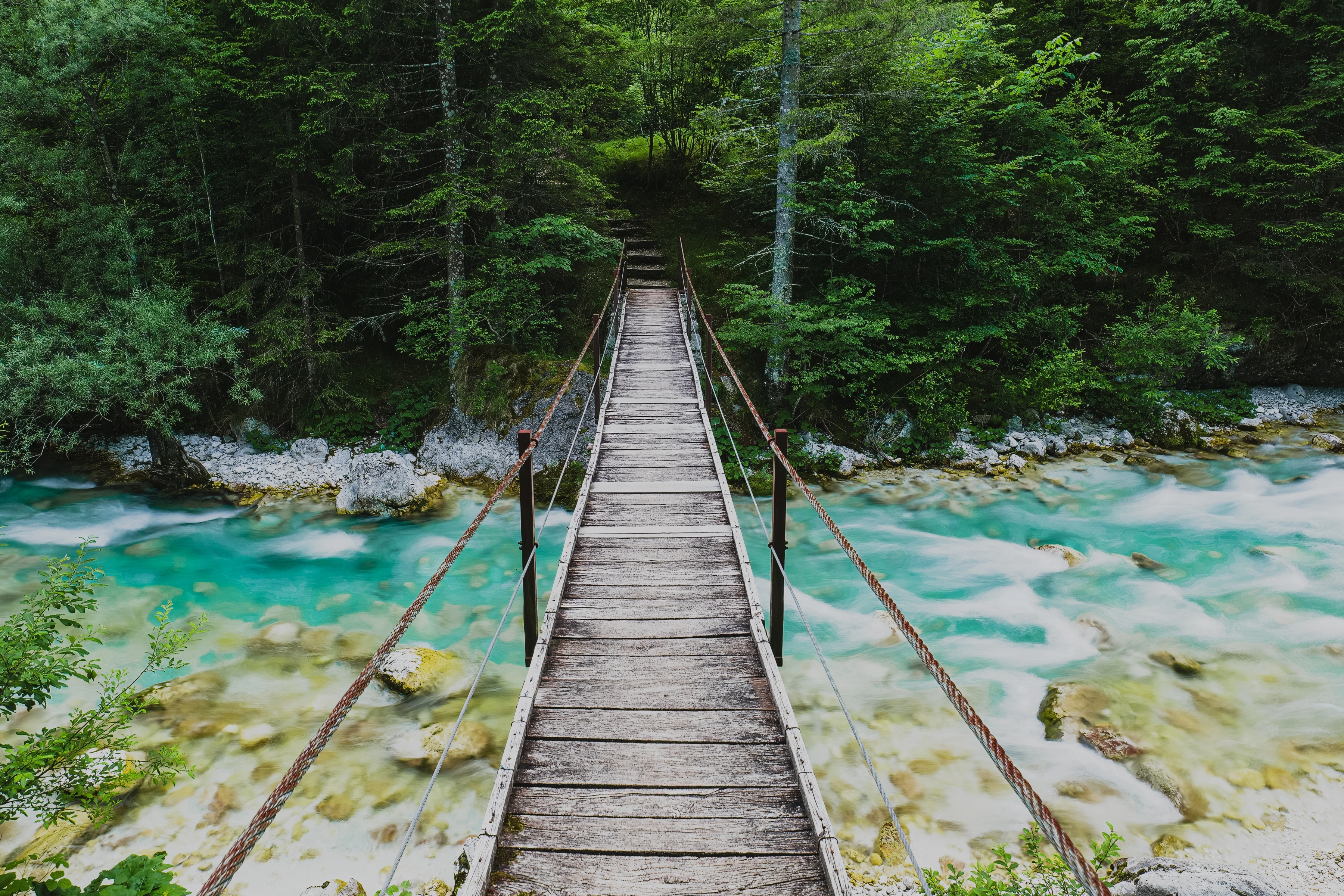 A suspended footbridge leads across turquoise water into dense green trees.