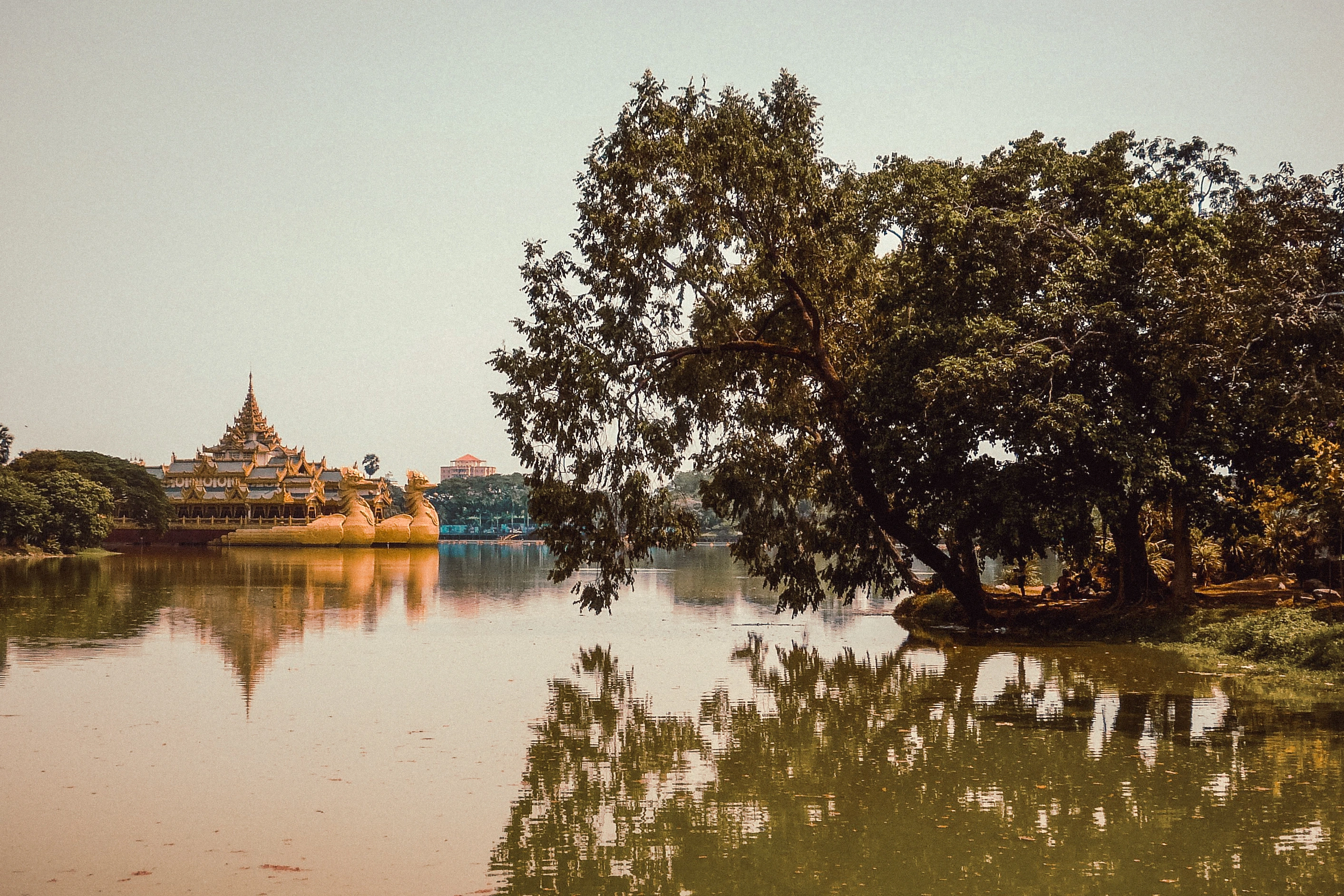 A large tree frames a distant ornate pavilion across still water.
