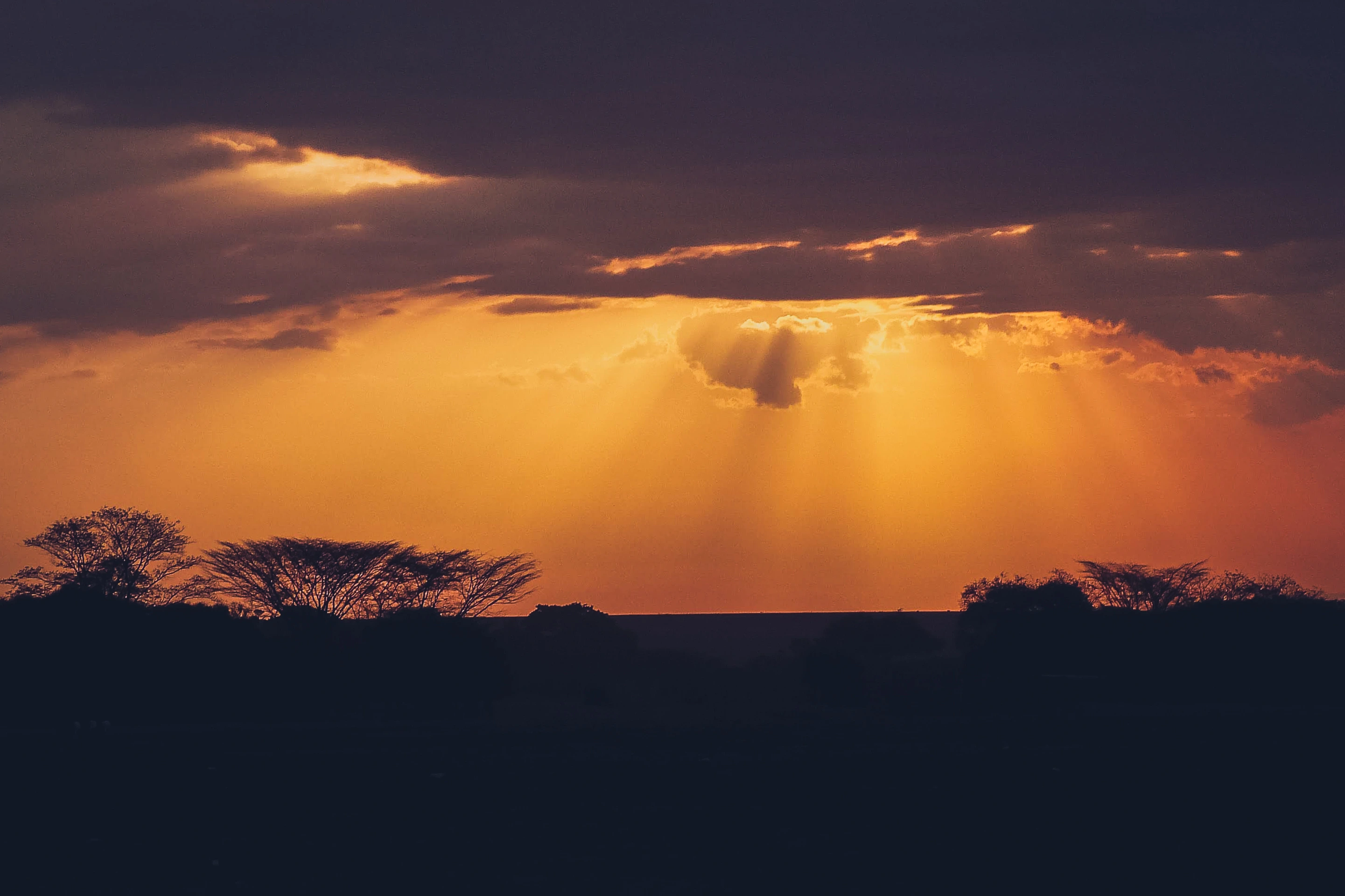 Golden rays descend between dark clouds above a silhouetted tree line.